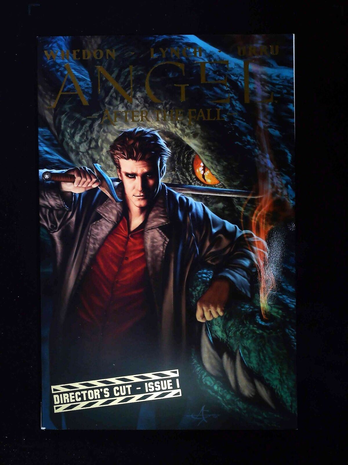 Angel After The Fall Directors Cut #1 Idw Comics 2008 VF+