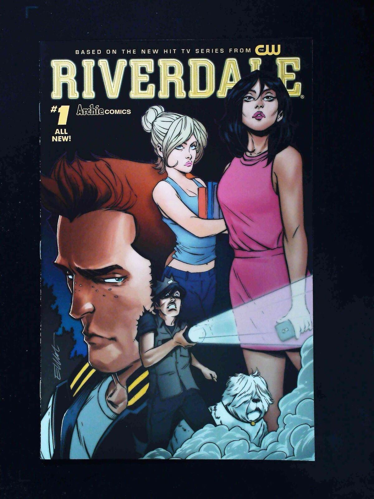 Riverdale #1B Archie Comics 2017 Vf+ Fernandez Variant