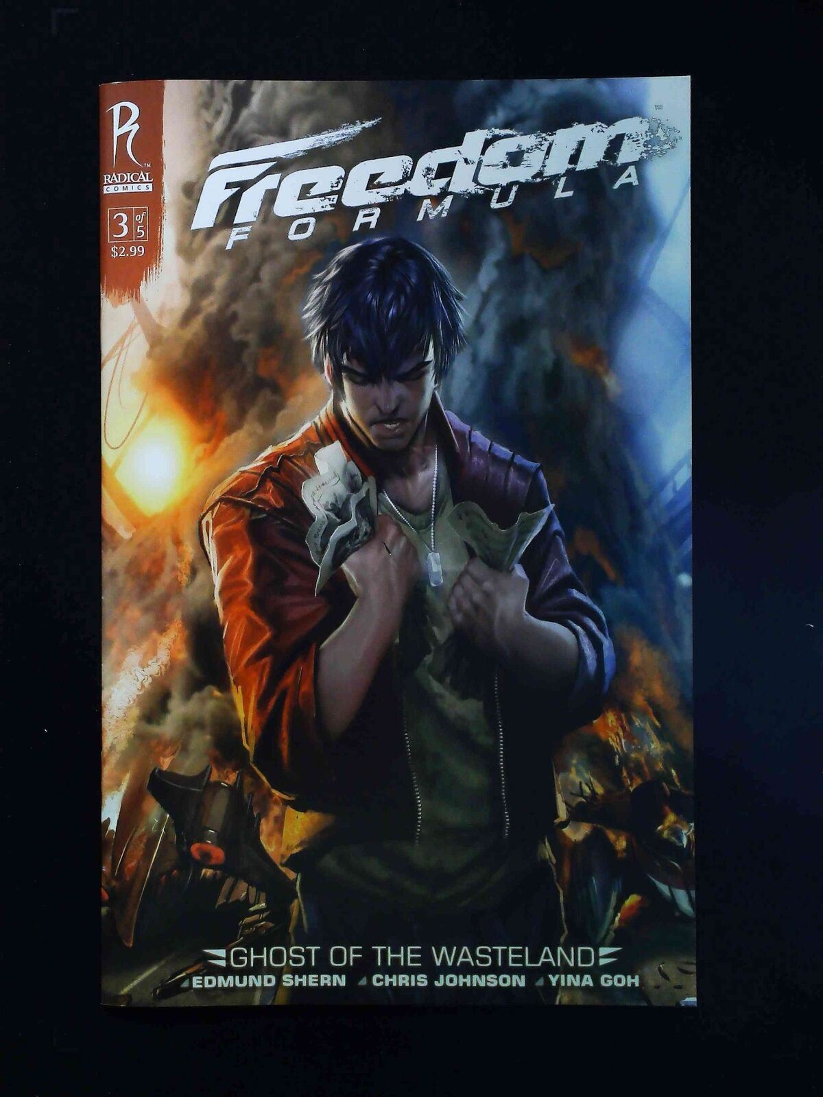 Freedom Formula #3B Radical Comics 2008 Vf+ Sejic Variant