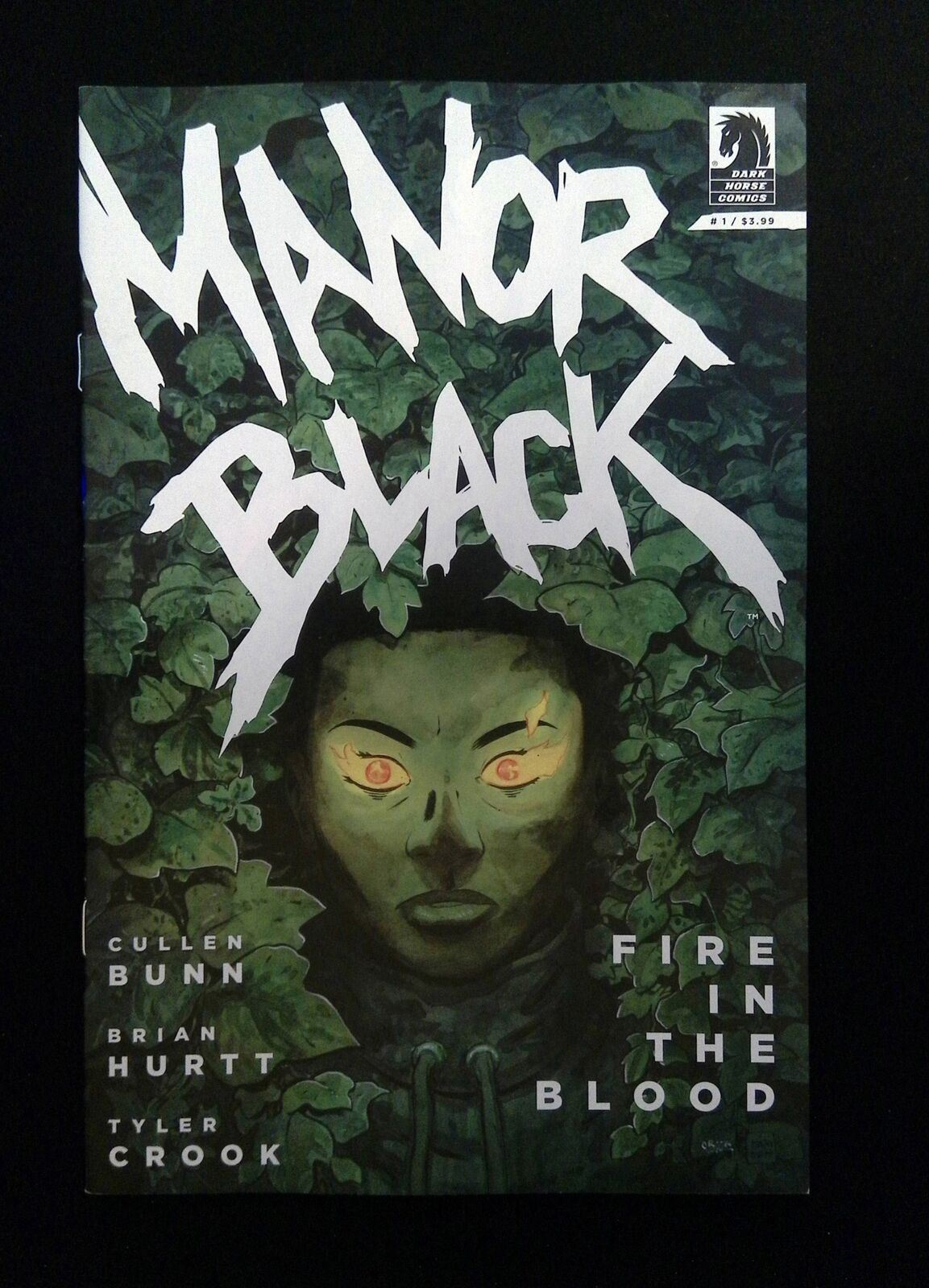 Manor Black In The Blood #1A Dark Horse Comics 2022 VF+