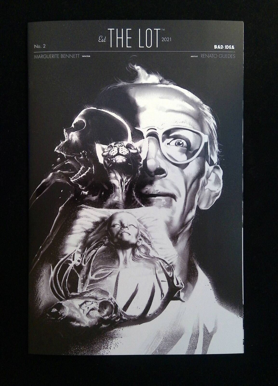 Lot #2 BAD IDEA COMICS Comics 2021 NM+