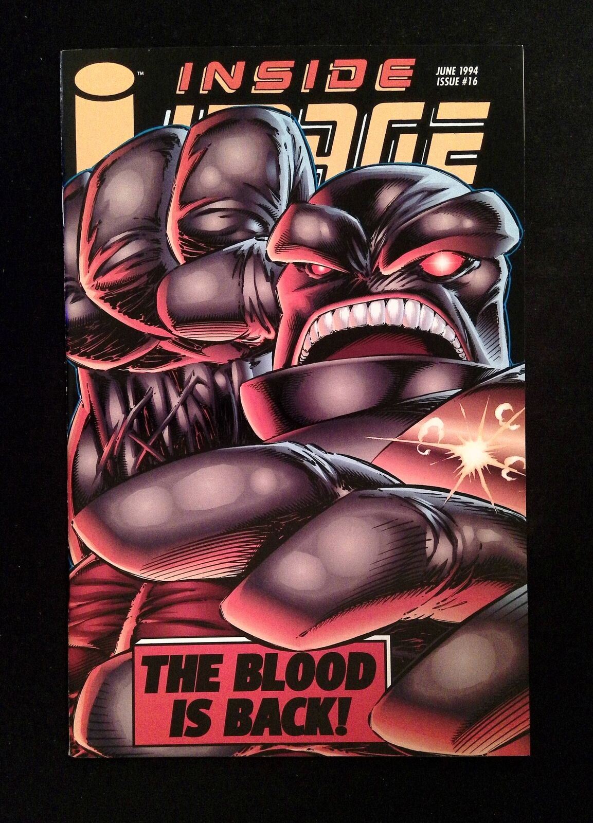 Inside Image #16 Image Comics 1994 NM-