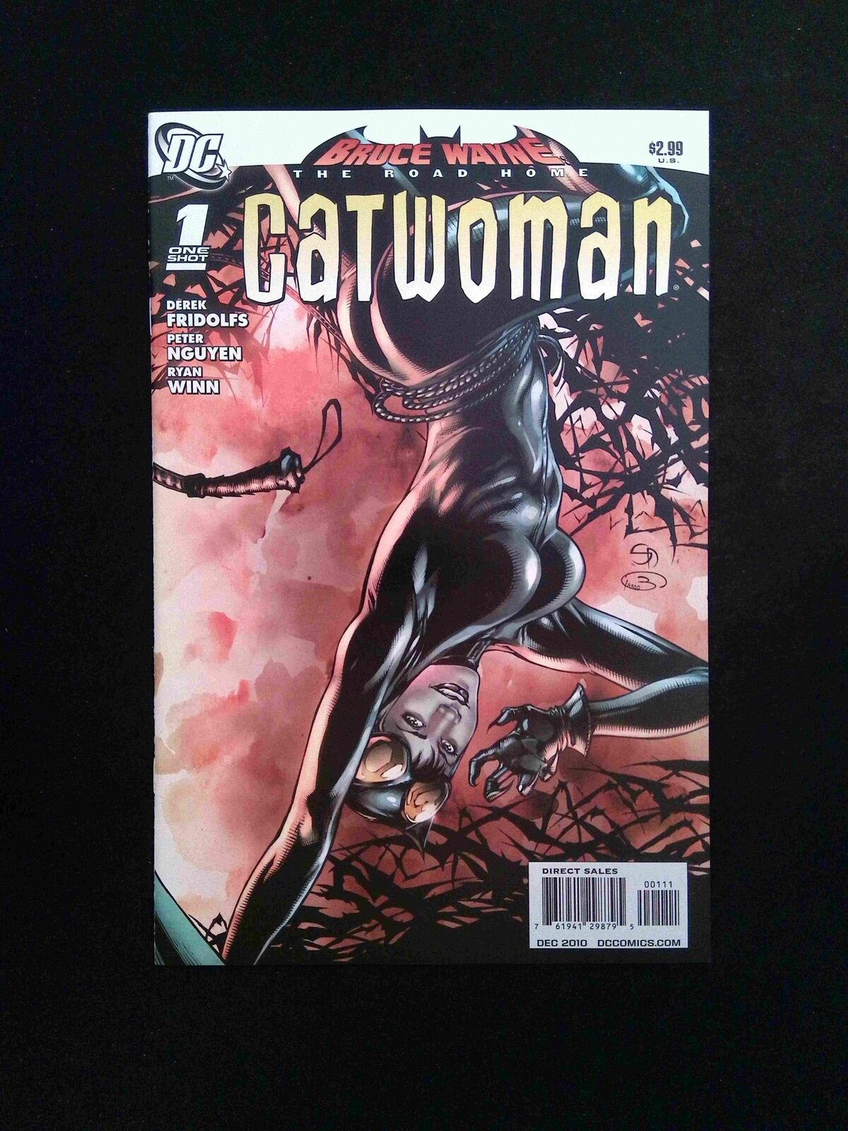 Bruce Wayne The Road Home Catwoman #1 DC Comics 2010 NM