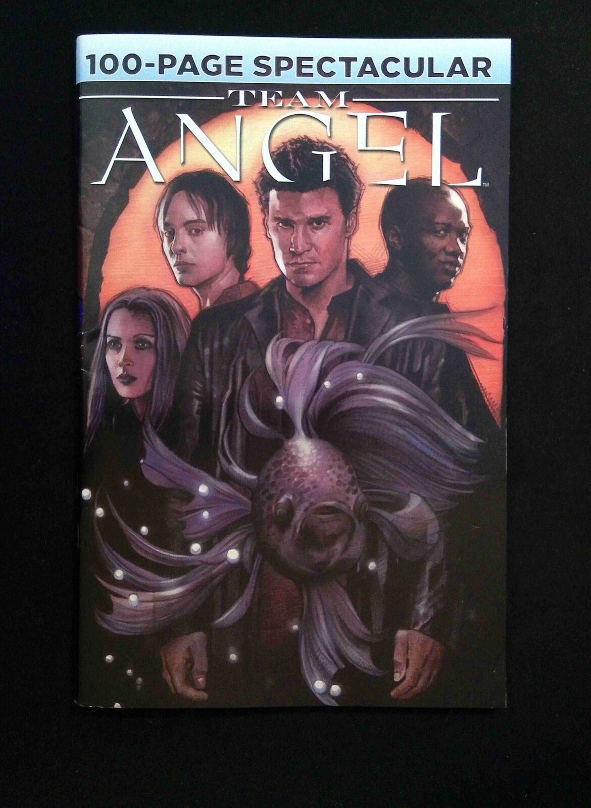 Team Agel 100 Page Spectacular #0 IDW PUBLISHING Comics 2011 VF