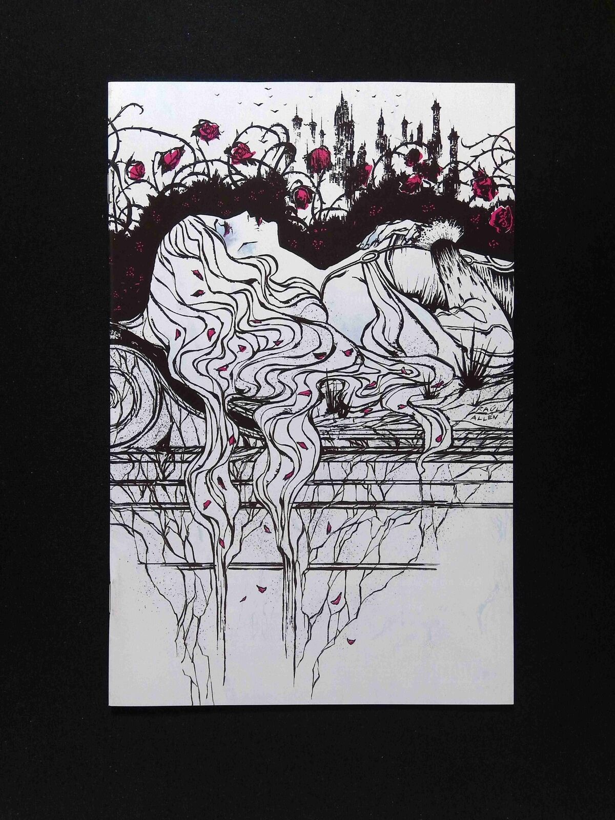 Briar #3E BOOM STUDIOS Comics 2023 NM ALLEN VARIANT