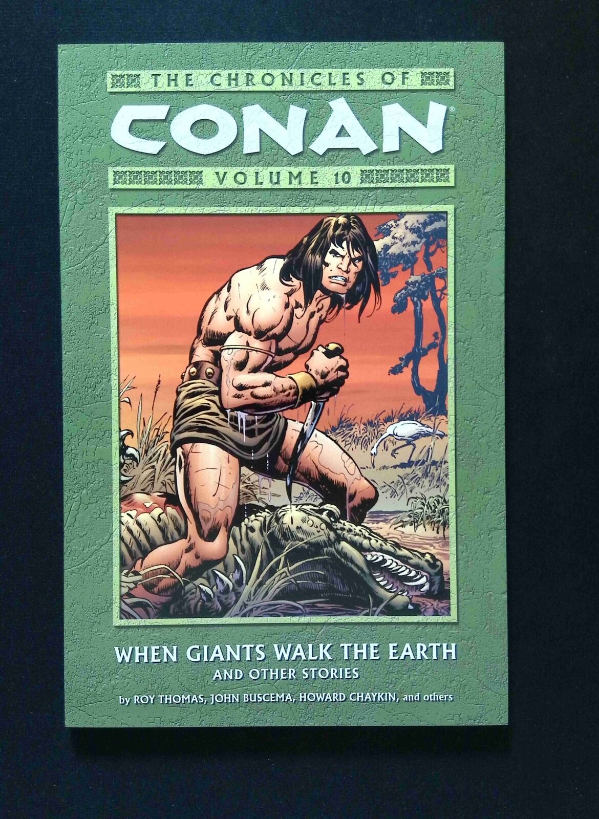 Chronicles of Conan TPB #10-1ST DARK HORSE Comics 2006 NM+ BUSCEMA VARIANT