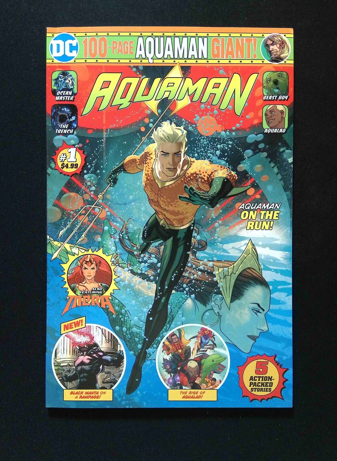 Aquaman Giant #1B DC Comics 2019 VF/NM VARIANT COVER