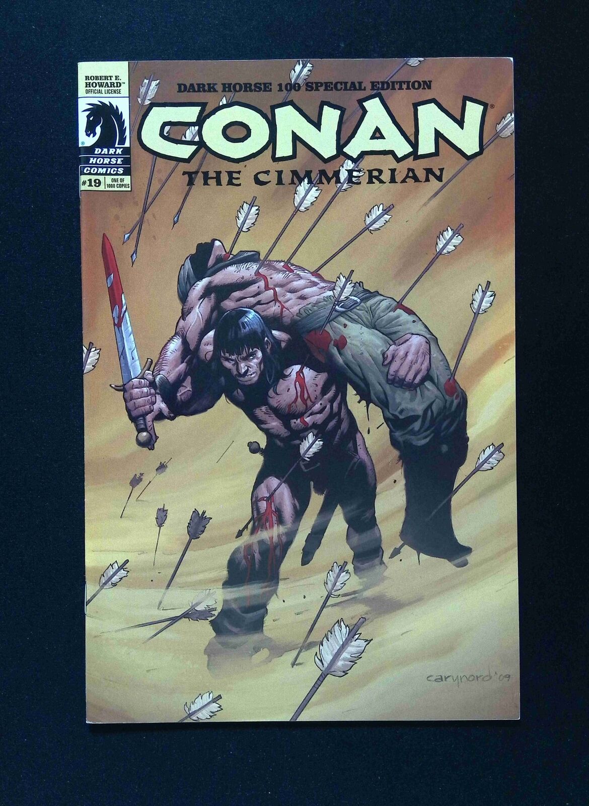 Conan the Cimmerian #19C DARK HORSE Comics 2010 VF+
