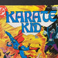 Karate Kid #13  Dc Comics 1978 Vf/Nm Newsstand