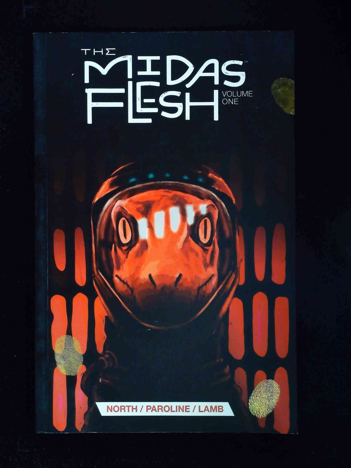 Midas Flesh #1B  Boom Comics 2013 Nm  Partridge Variant