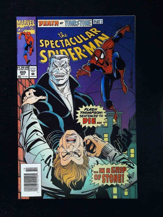 Spectacular Spider-Man  #205  Marvel Comics 1993 Vf/Nm Newsstand