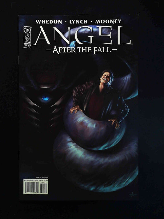 ANGEL AFTER THE FALL #14  IDW COMICS 2008 NM