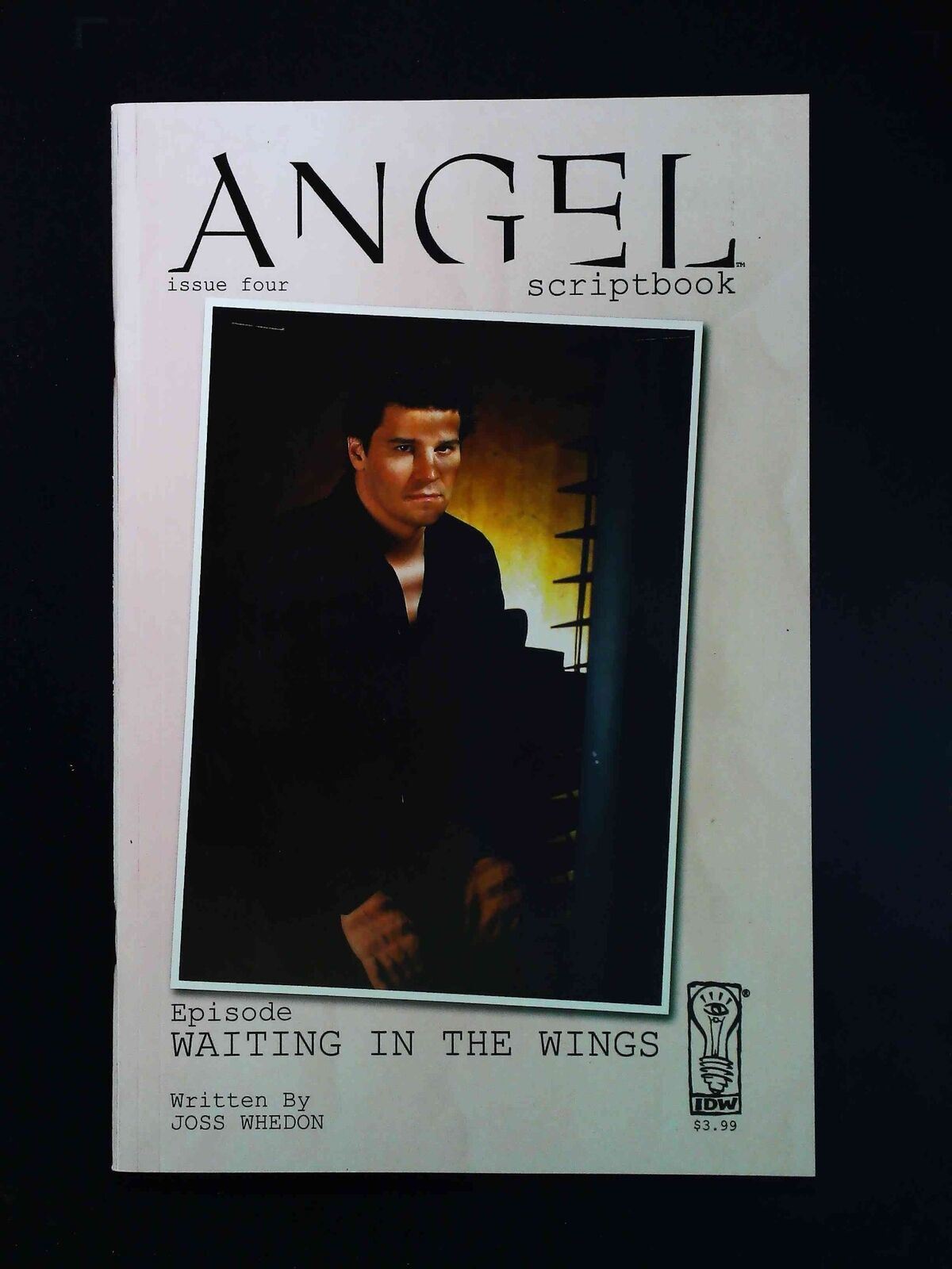 Angel Scriptbook #4B  Idw Comics 2006 Nm  Variant Cover