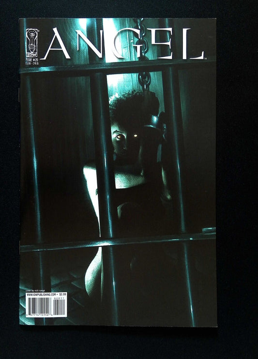 Ange #20B (3Rd Series) Idw Comics 2009 Nm-  Runge Variant