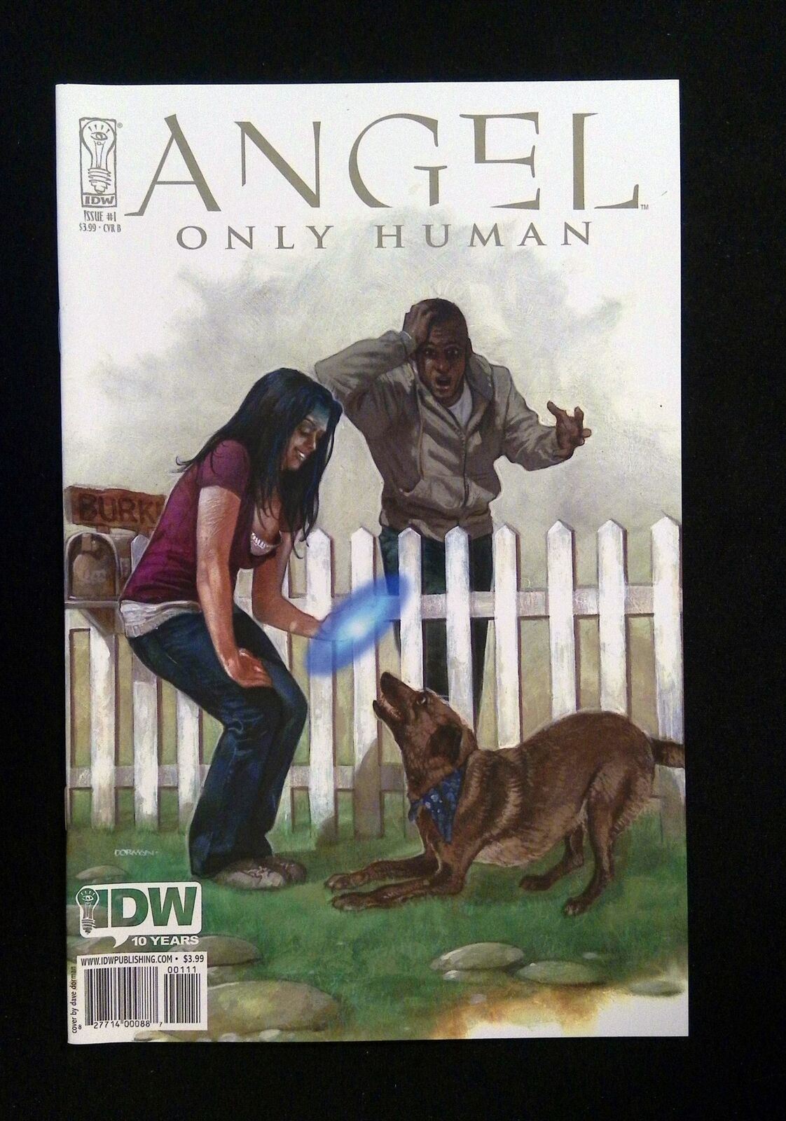 Angel Only Human #1B  Idw Comics 2009 Nm  Dorman Variant