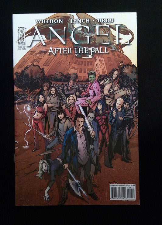 ANGEL AFTER THE FALL #17B  IDW COMICS 2009 NM-  URRU VARIANT