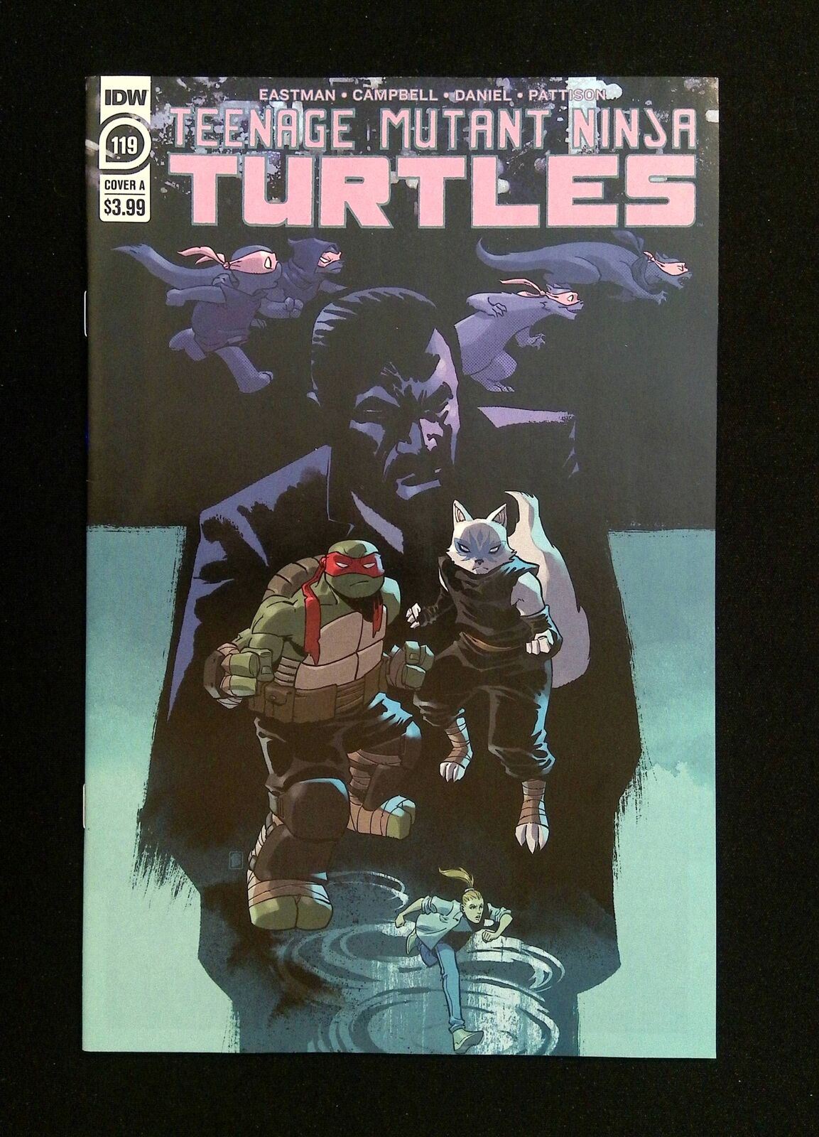 Teenage Mutant Ninja Turtles #119  Idw Comics 2021 NM-