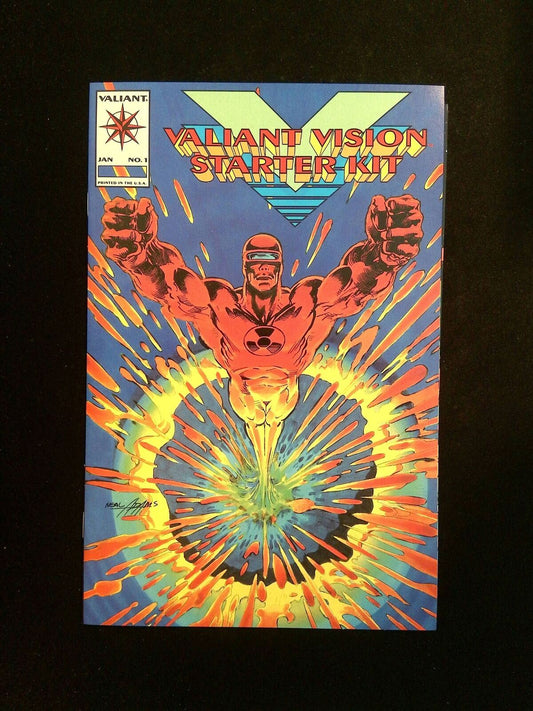 Valiant Vision Starter Kit #1B  VALIANT Comics 1994 NM
