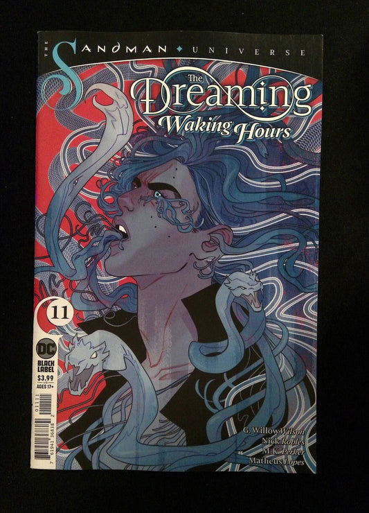 Dreaming Waking Hours #11  DC Comics 2021 NM