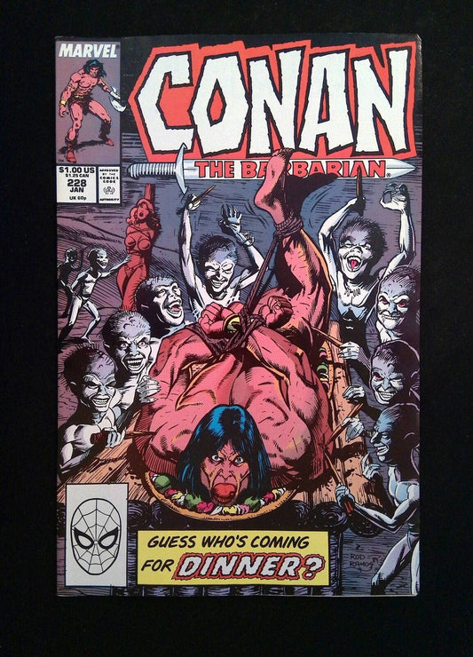 Conan the Barbarian #228  MARVEL Comics 1990 VF+