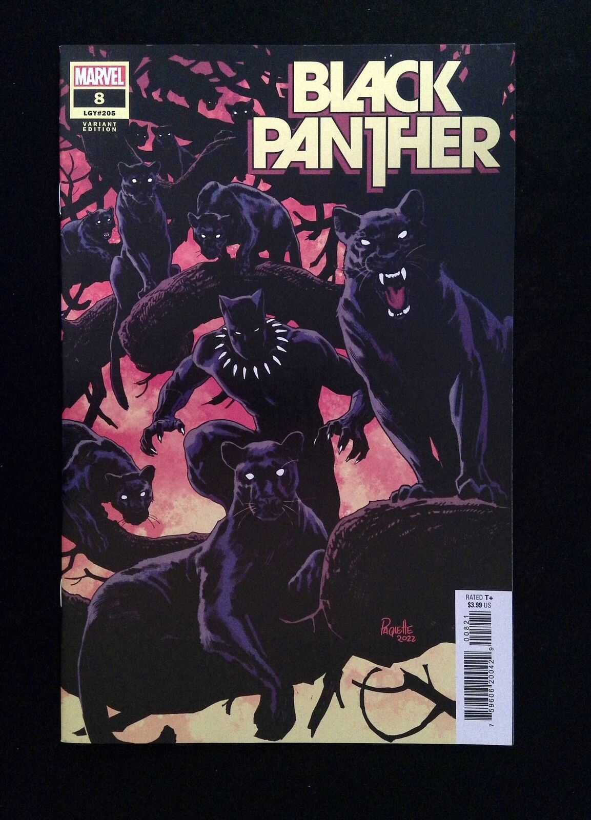 Black Panther #8B (8TH SERIES) MARVEL Comics 2022 NM  Paquette Variant