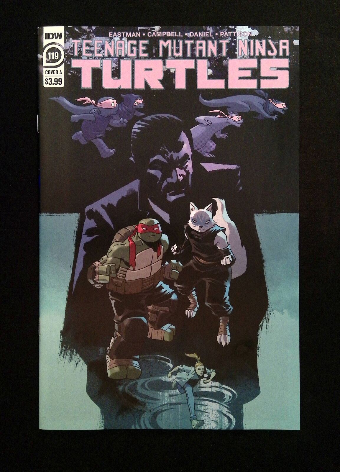 Teenage Mutant Ninja Turtles #119  IDW Comics 2021 VF/NM