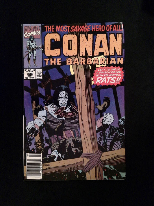 Conan The Barbarian #236  Marvel Comics 1990 FN Newsstand