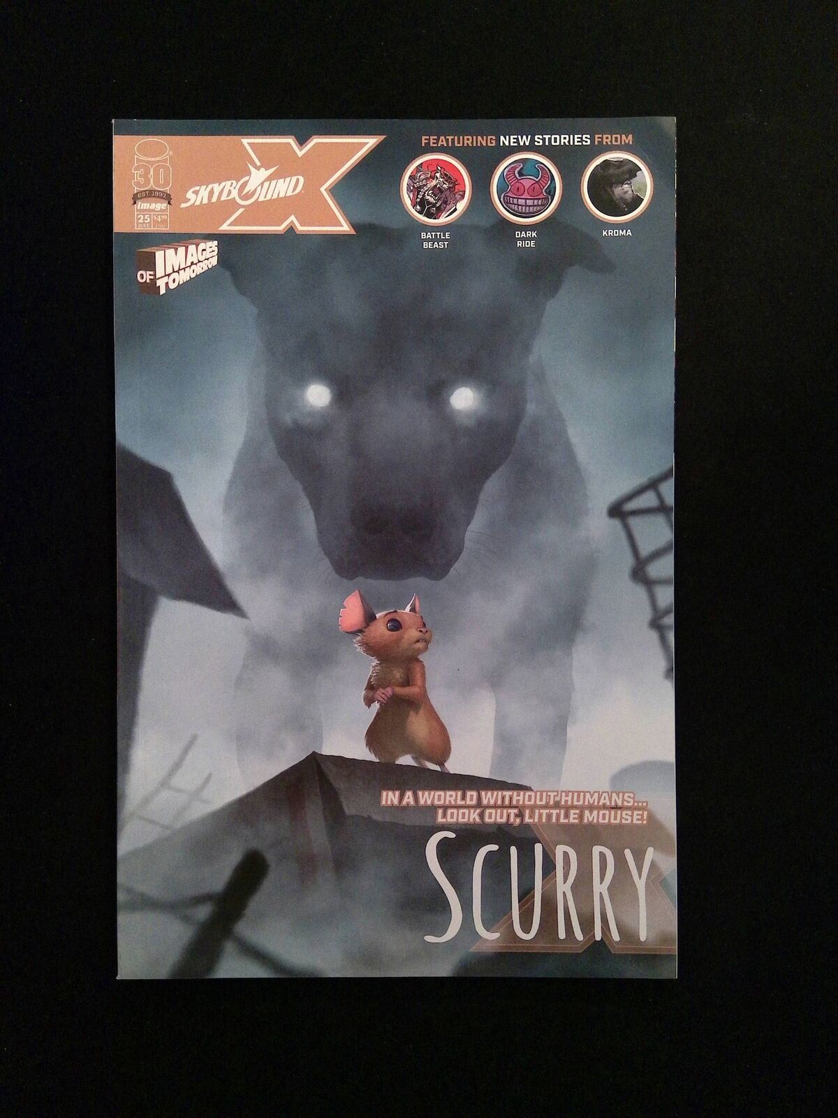 Skybound X #25D  Image Comics 2022 NM  Smith Variant