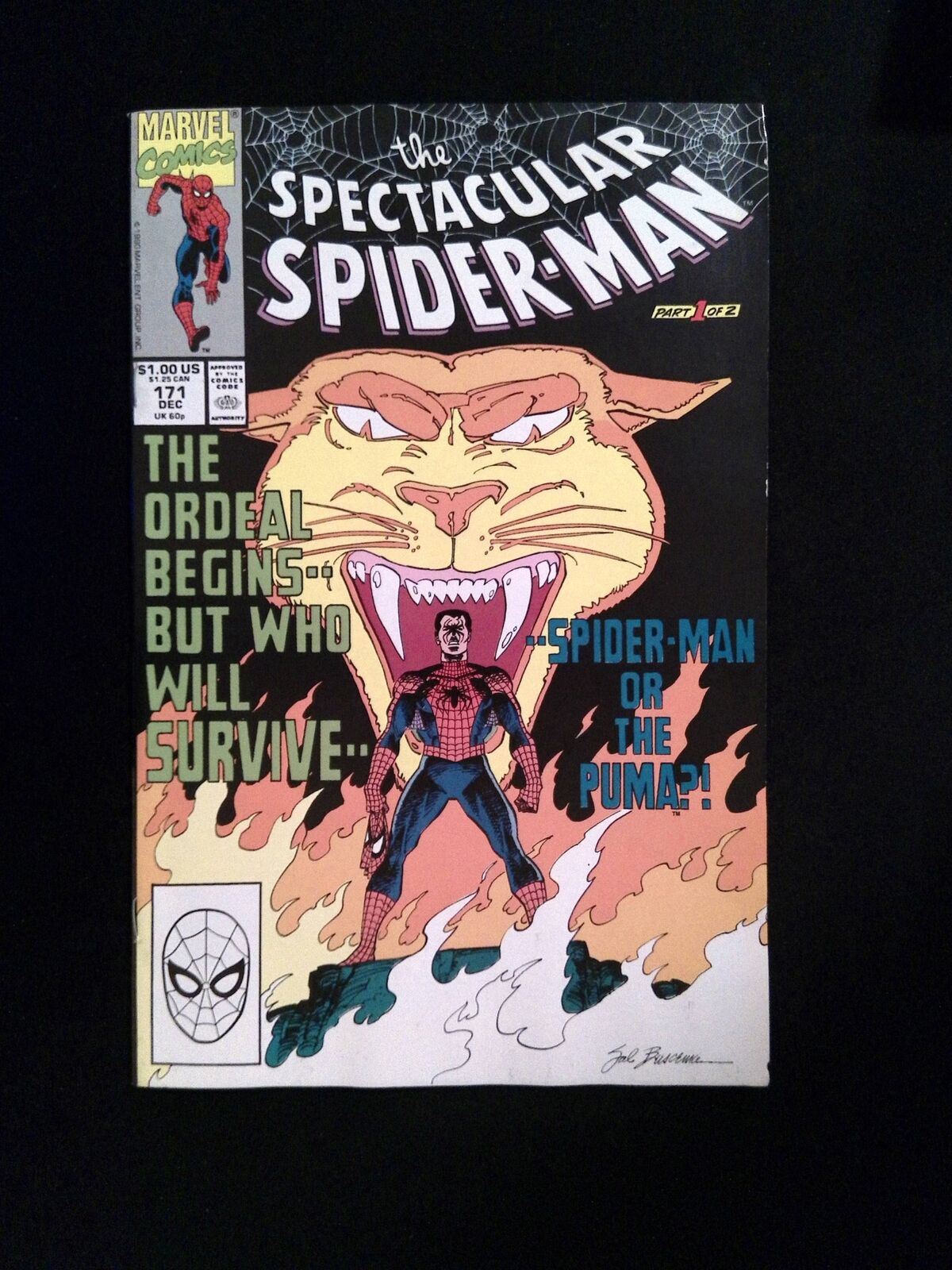 Spertacular Spider-Man #171  MARVEL Comics 1990 VF