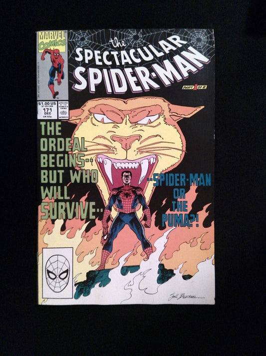 Spertacular Spider-Man #171  MARVEL Comics 1990 VF