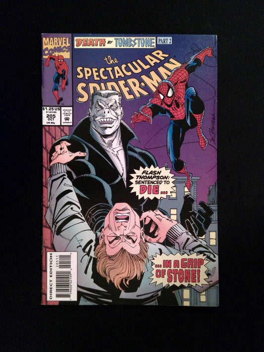 Spertacular Spider-Man #205  MARVEL Comics 1993 VF+