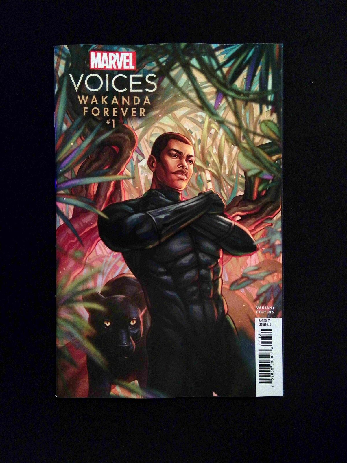 Marvel�s Voices Wakanda Forever #1B  MARVEL Comics 2023 NM+  AKANDE VARIANT