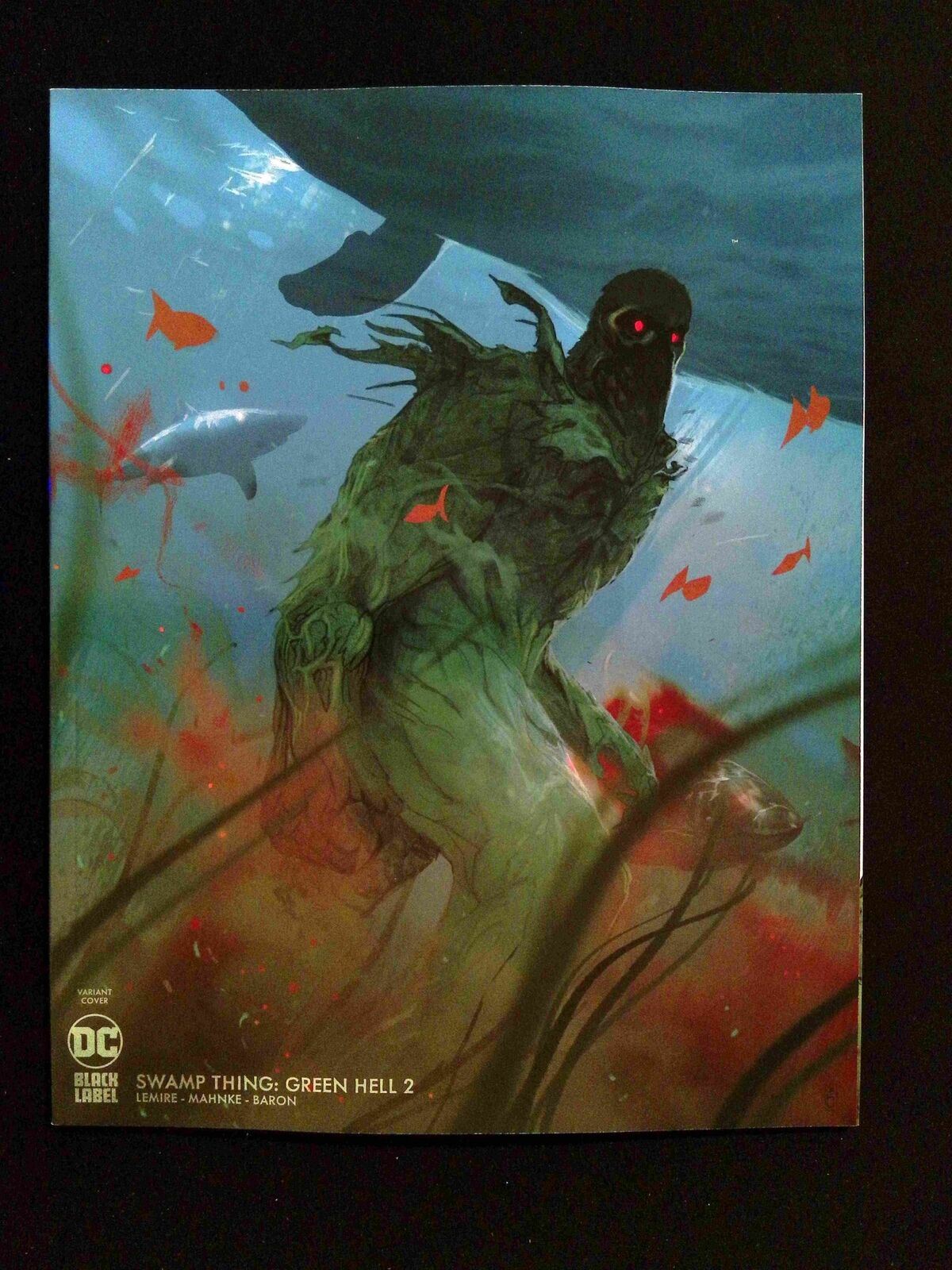 Swamp Thing Green Hell #2B  DC Comics 2023 NM+  WARD VARIANT