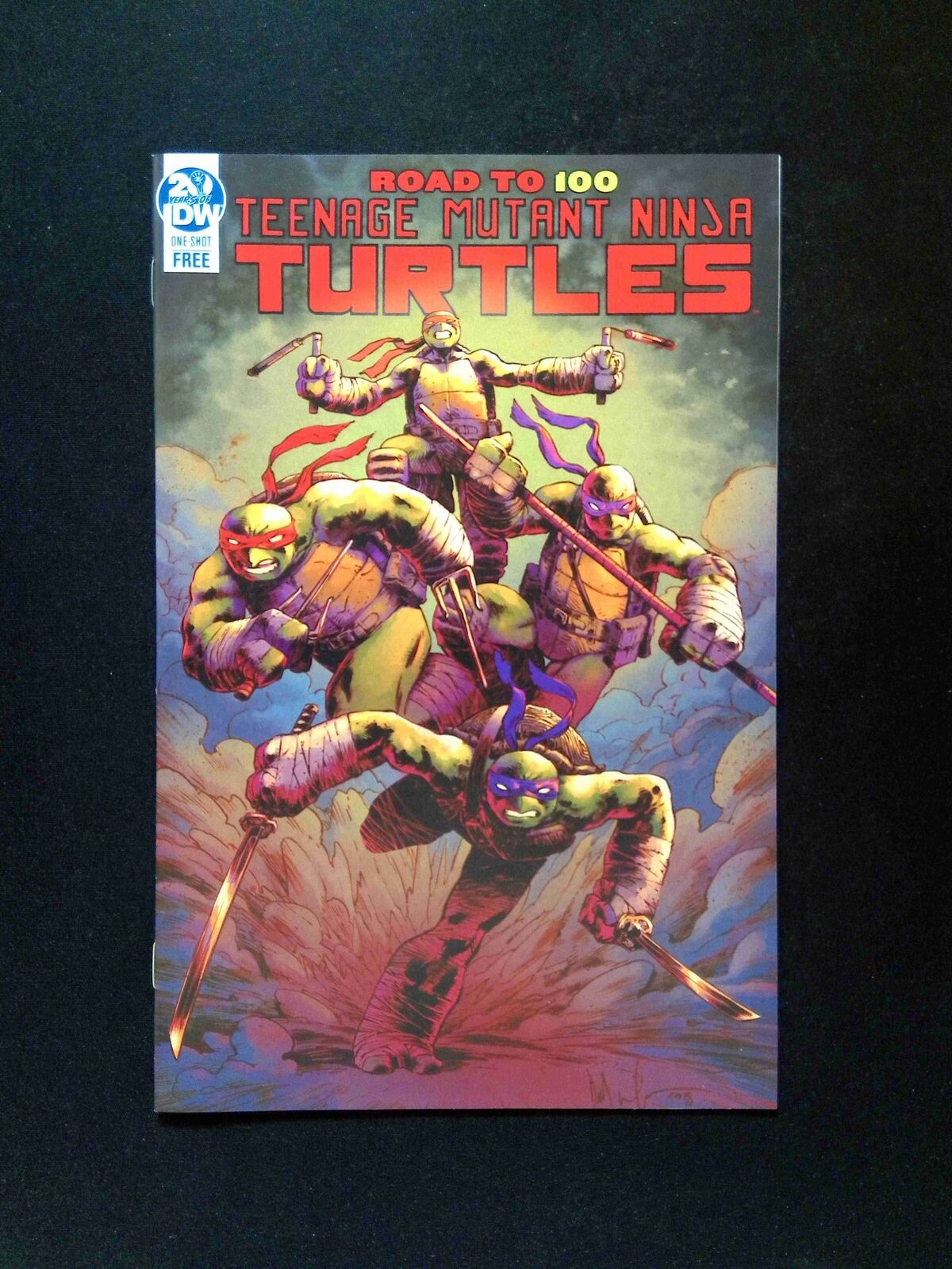 Teenage Mutant Ninja Turtles Road to 100 #0  IDW Comics 2019 VF+