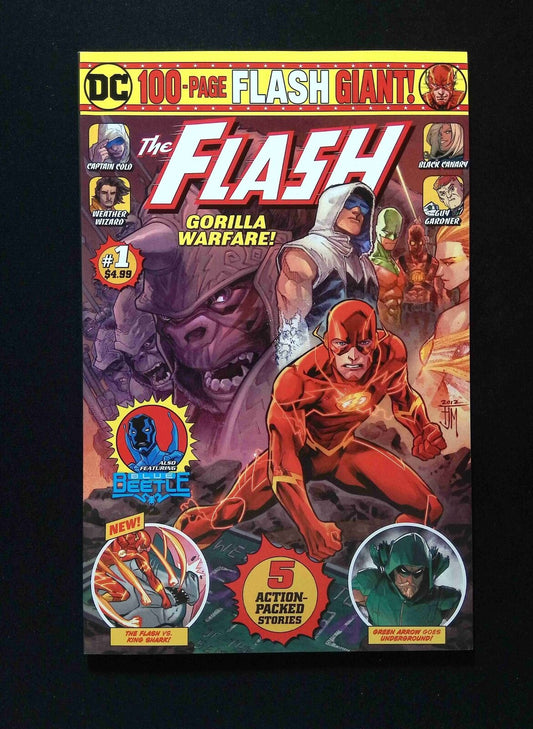 Flash Giant #1B (2ND SERIES) DC Comics 2019 NM-  VARIANT COVER