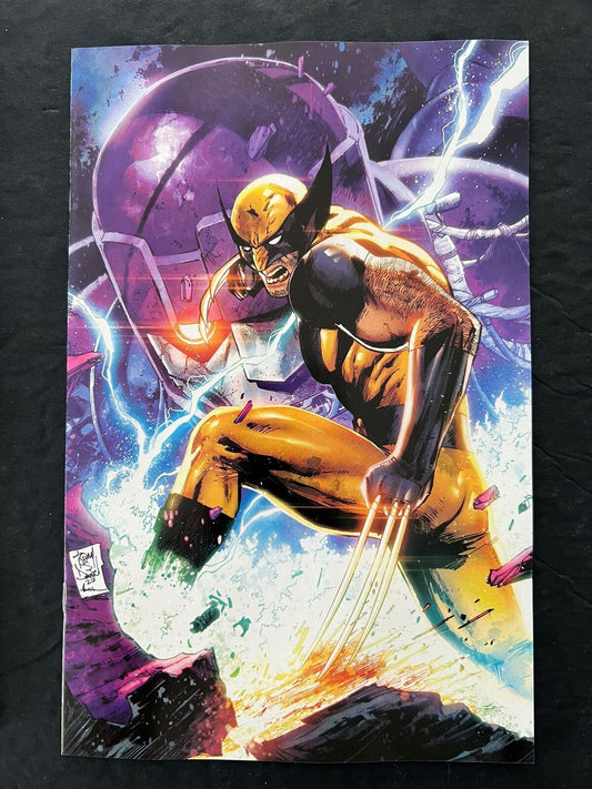 Wolverine #24 Marvel Tony Daniels Exclusive Virgin Variant